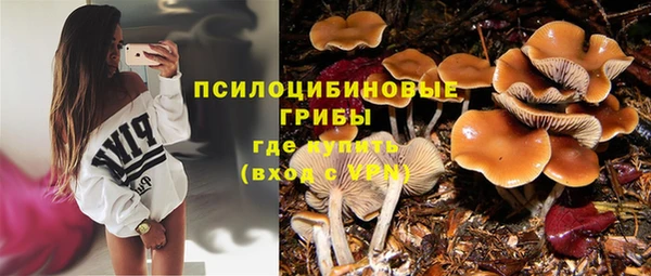 ГАЛЛЮЦИНОГЕННЫЕ ГРИБЫ Липки
