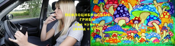 ГАЛЛЮЦИНОГЕННЫЕ ГРИБЫ Липки