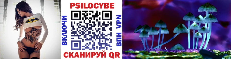Купить где  Муравленко  Псилоцибиновые грибы MAGIC MUSHROOMS 